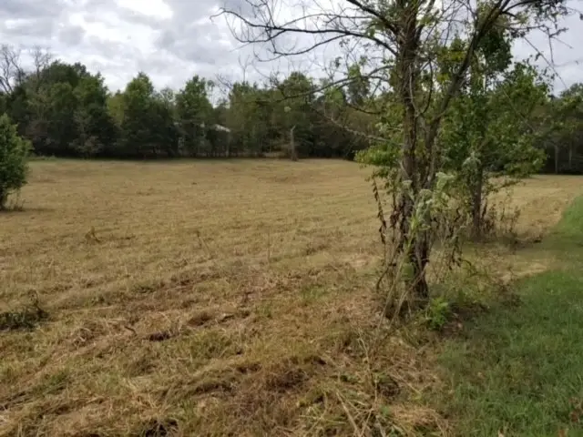 0 Harsh Ln, Castalian Springs, TN 37031 - Image #3