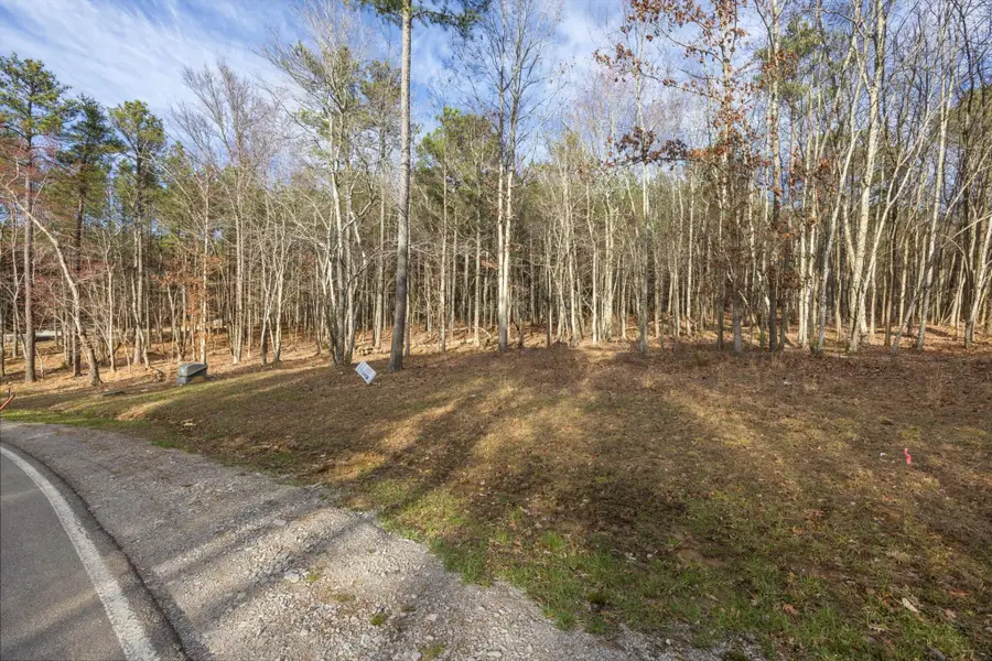 0 Raulston Falls Road, Jasper, TN 37347 - Image #2