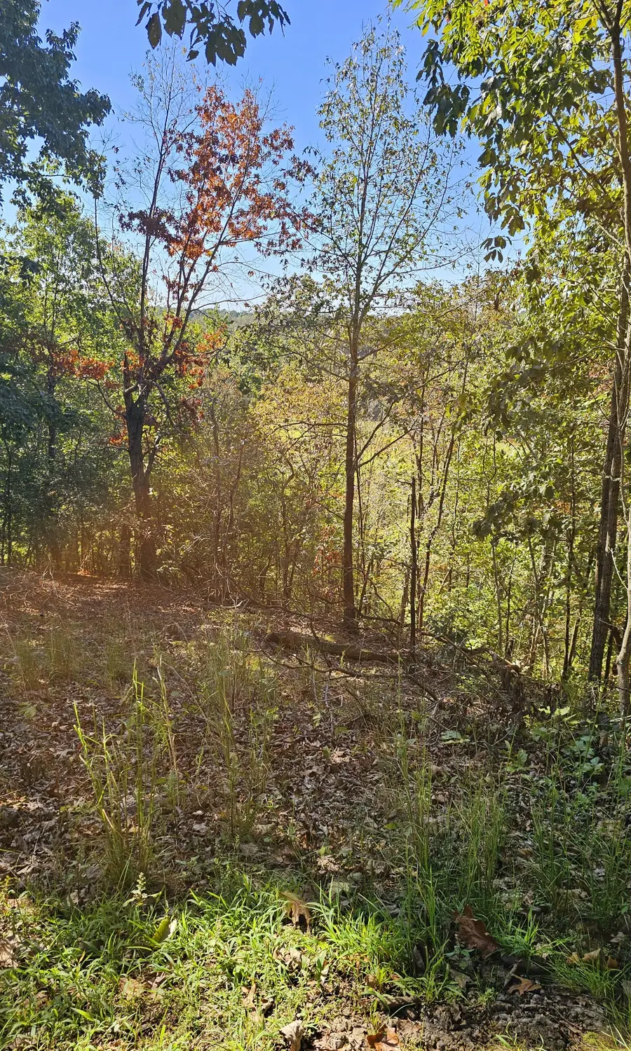 0 Big Richland Drive, Waverly, TN 37185 - Image #3