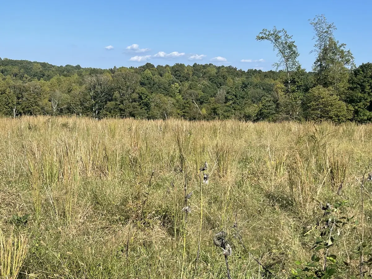 0 Oak Grove Road, Red Boiling Springs, TN 37150 - Image #1