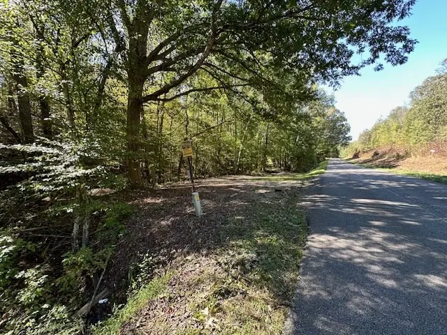 0 Sales Landing Rd, Camden, TN 38320 - Image #3