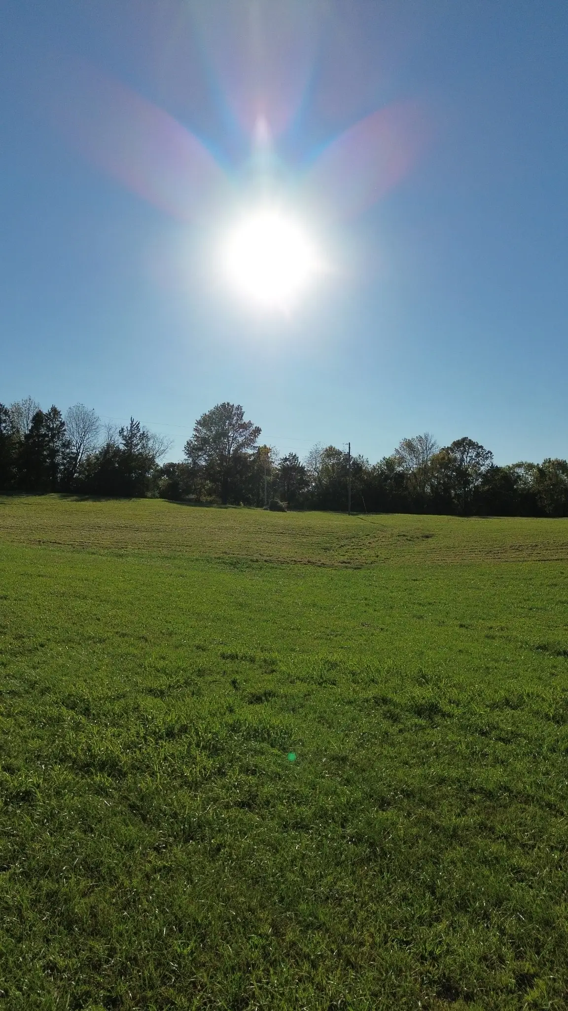 646 Barnes Mill Rd, Smithville, TN 37166 - #1