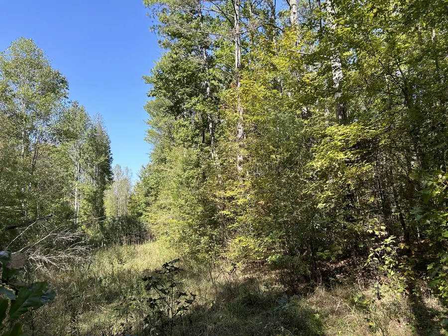 0 Camp Rd, Hohenwald, TN 38462 - Image #3