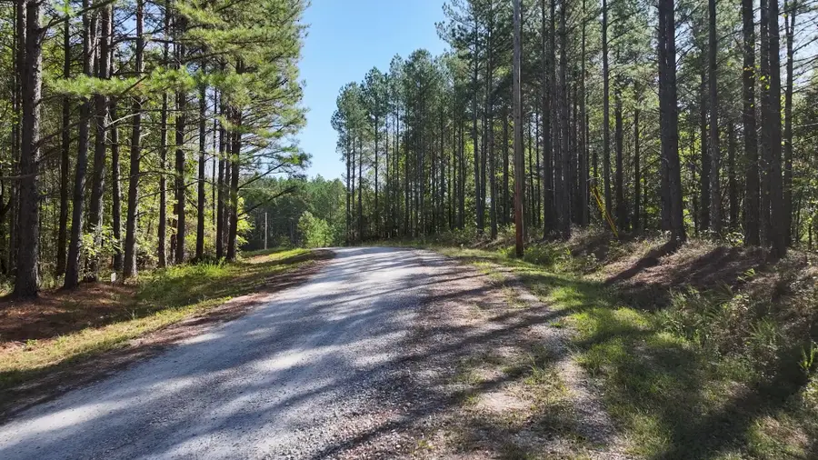 0 Bear Hollow Dr, Waverly, TN 37185 - Image #3