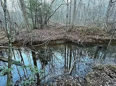 11 Camp Creek Rd, Spencer, TN 38585 - Image #3