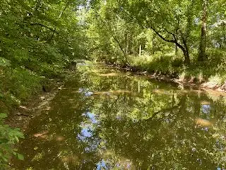 0 Hwy 64 E Frankewing Tn 38459, Frankewing, TN 38459 - Image #2