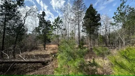 0 Firetower Rd, Camden, TN 38320 - Image #2