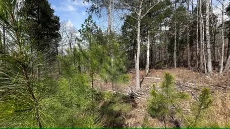 0 Firetower Rd, Camden, TN 38320 - Image #3