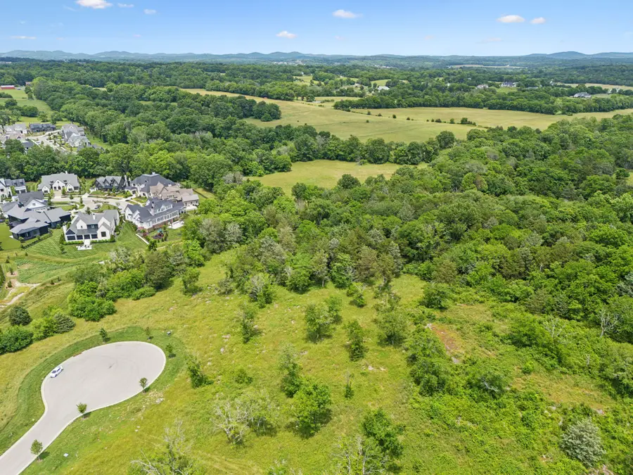 9447 Thatchbay Ct, College Grove, TN 37046 - Image #3