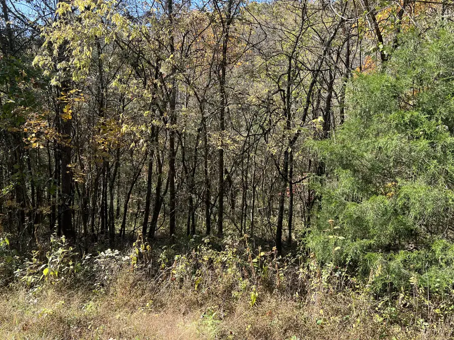 0 Reece Hollow Rd, Carthage, TN 37030 - Image #3