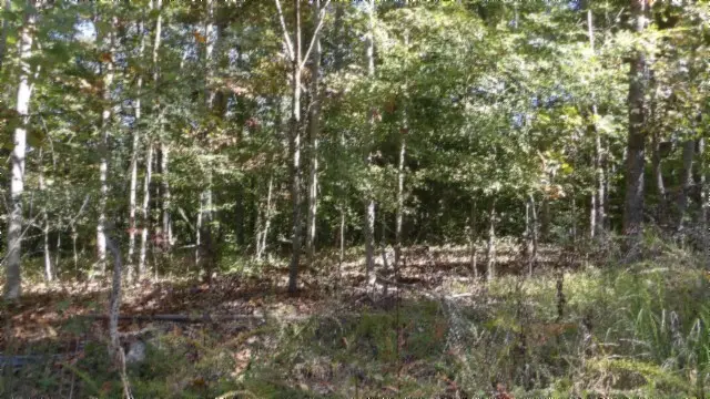 0 Inland Court, Sparta, TN 38583 - #1