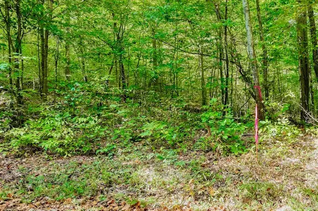 0 Bolestown Loop Lot 2, Alpine, TN 38543 - Image #1