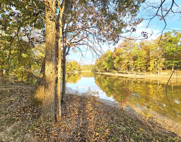 328 Duck Blind Rd, Clifton, TN 38425