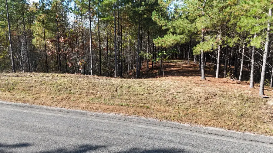 3020 Mcgee Rd, Linden, TN 37096 - Image #3