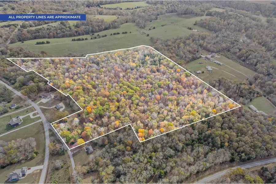 1402 Moore Lane, Southside, TN 37171 - Image #2