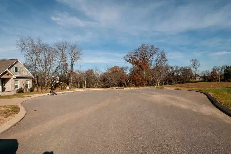 209 Kortney Marie Pl, Mount Juliet, TN 37122 - #3