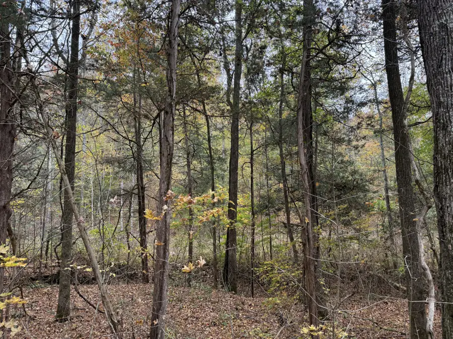 0 Denton Rd, Linden, TN 37096 - Image #3