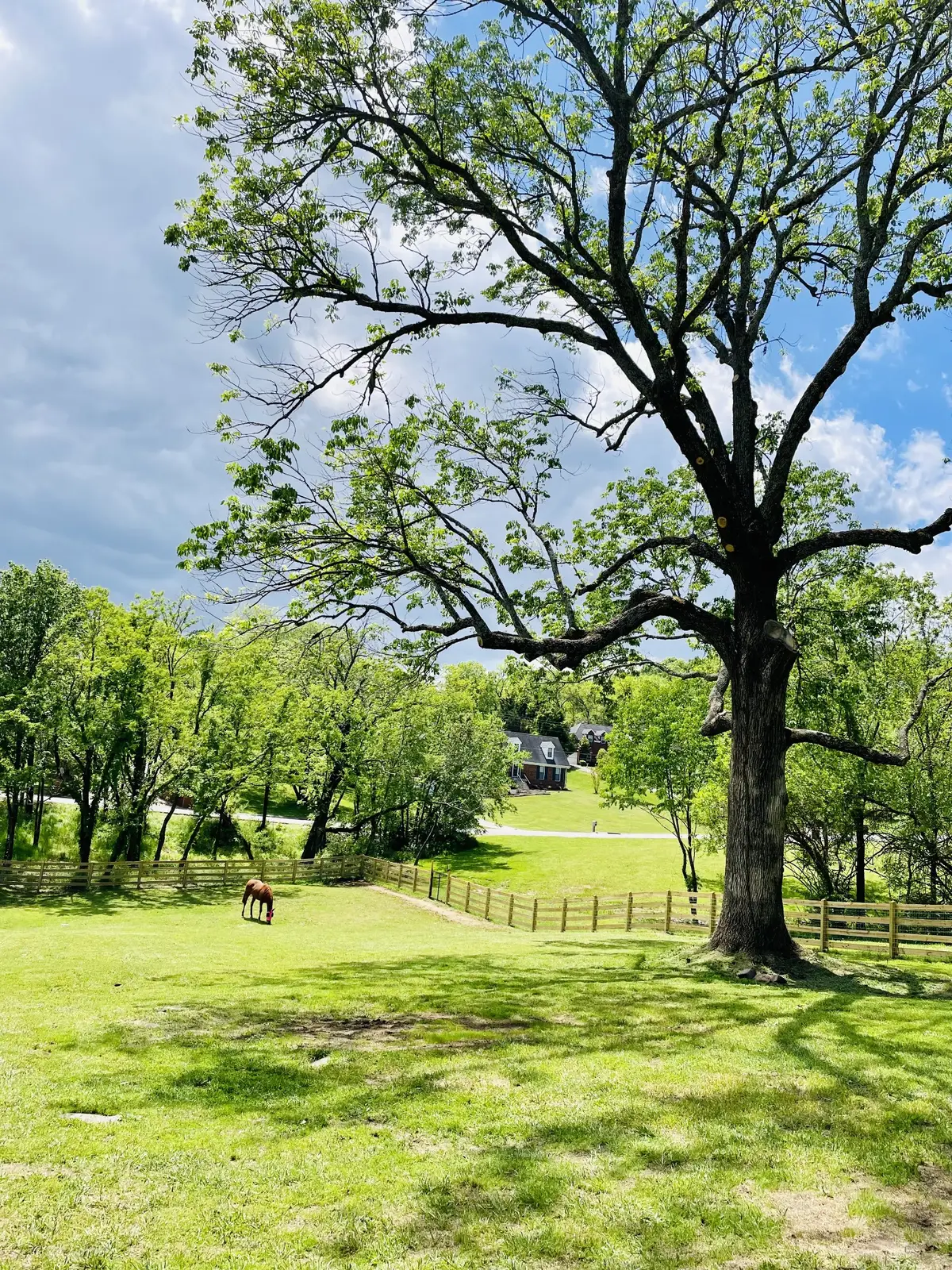 1019 Forestpointe, Hendersonville, TN 37075 - #1