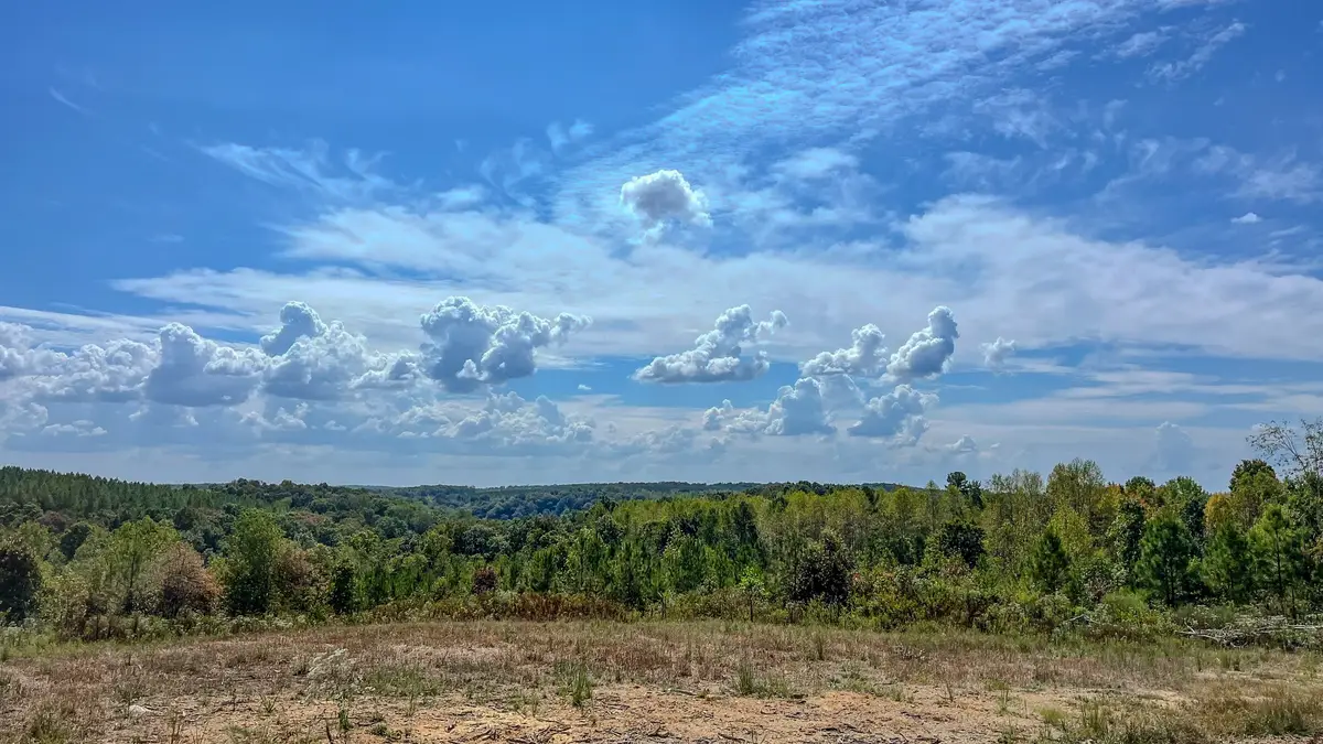 0 Hurricane Road Se, Stewart, TN 37175 - Image #1