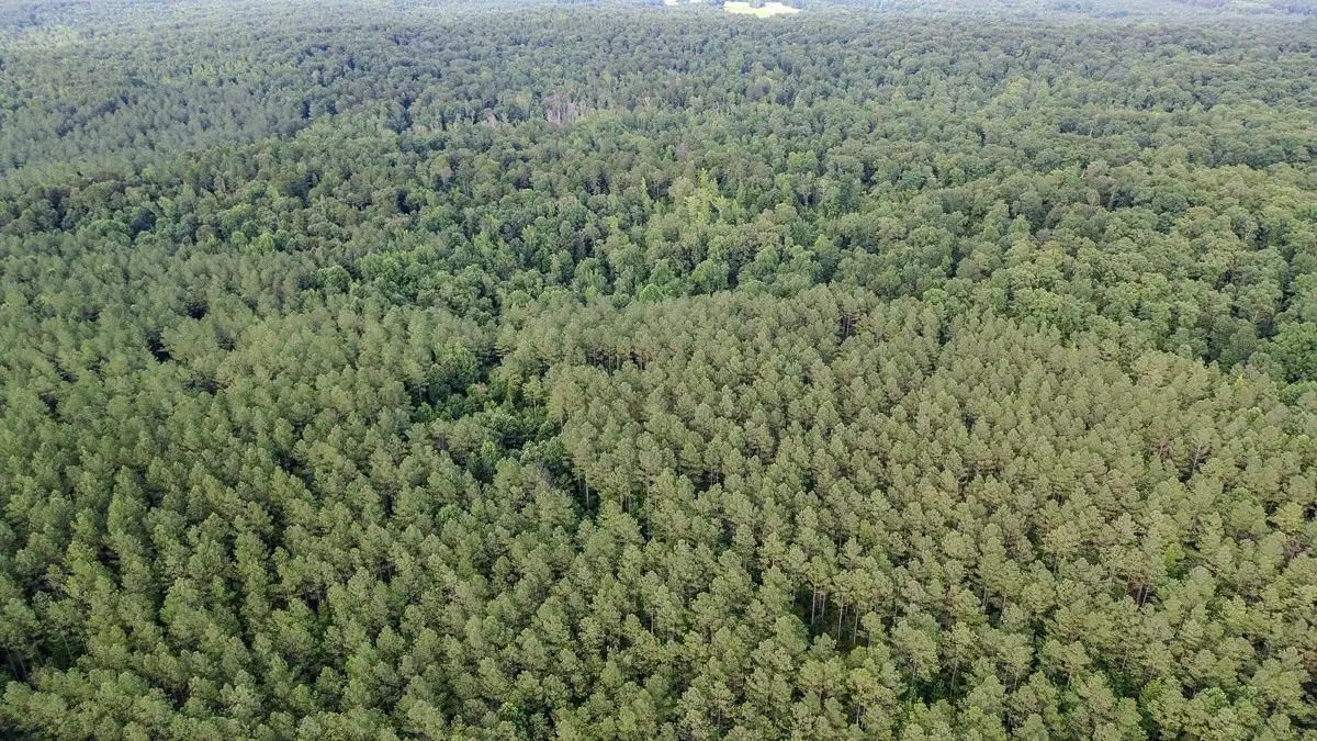 0 Sipes Way, Bolivar, TN 38008 - #1