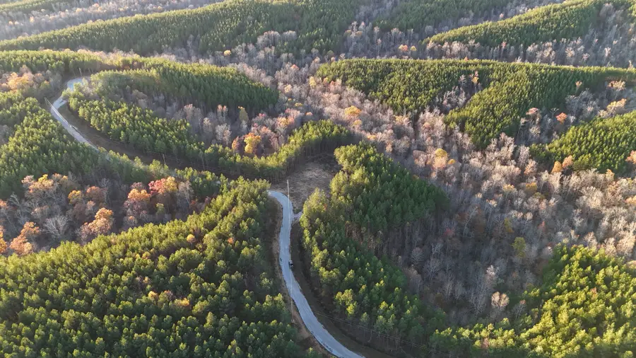 768 Starlight Dr, Linden, TN 37096 - Image #2