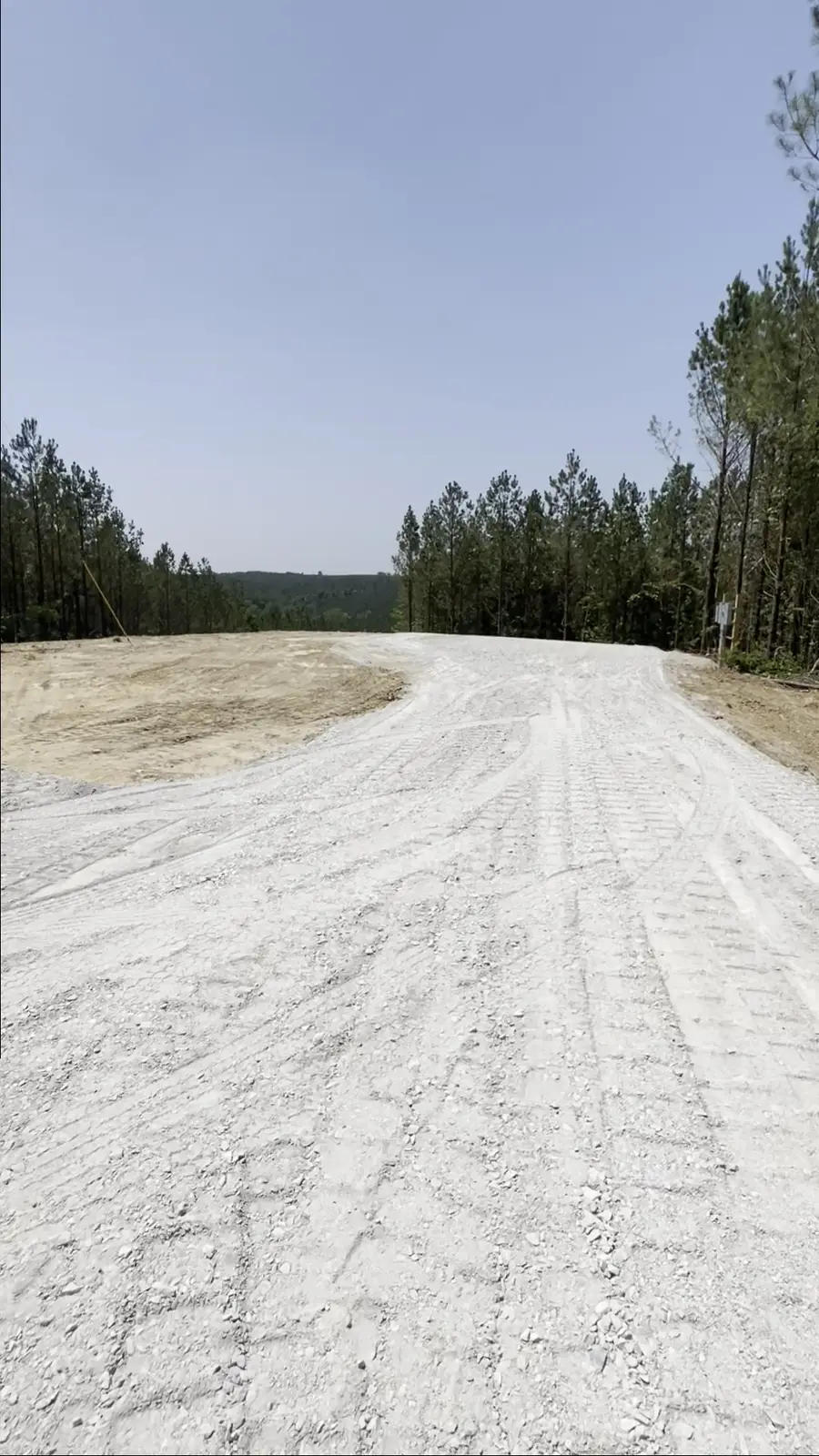 768 Starlight Dr, Linden, TN 37096 - Image #3