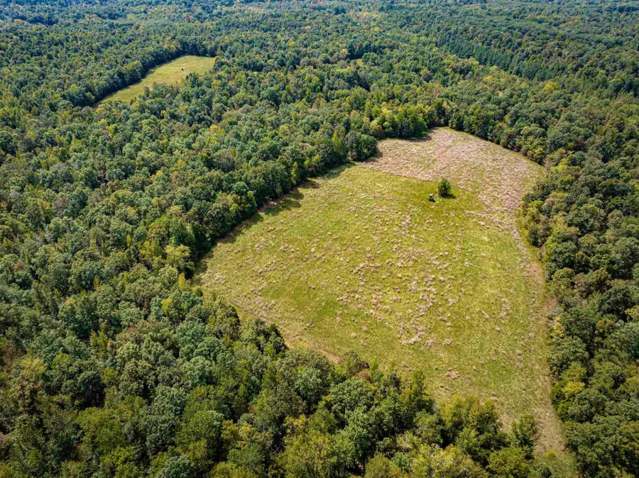 2642 Brodies Landing Rd, Parsons, TN 38363 - Image #2