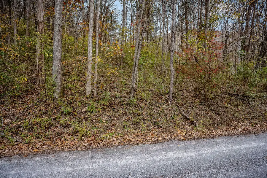 9 Shady Pl, Smithville, TN 37166 - #2