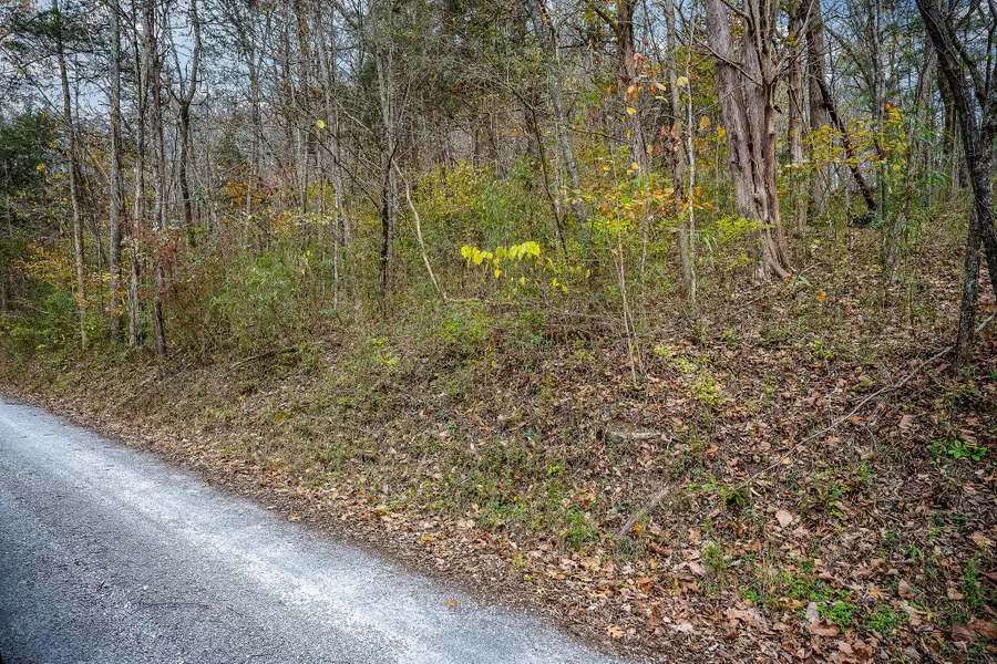 9 Shady Pl, Smithville, TN 37166 - #3