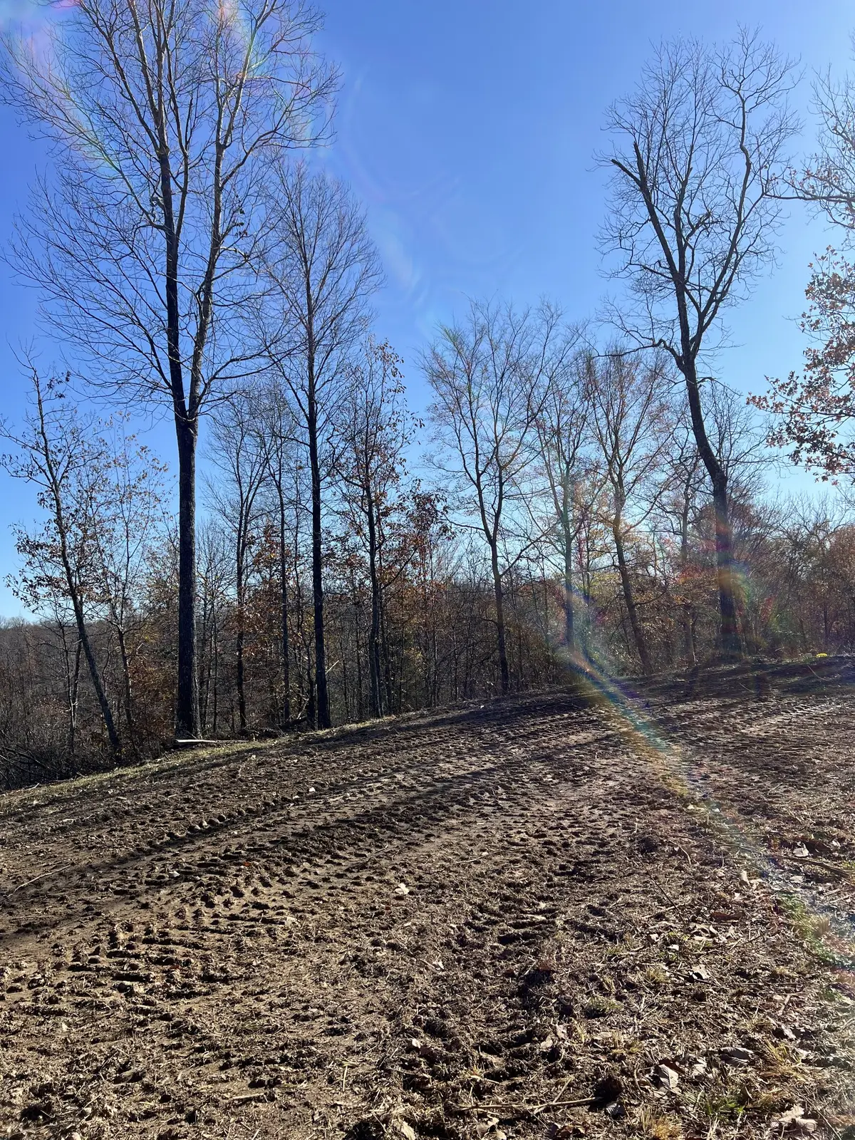 91D Rolling Hills, Lobelville, TN 37097 - Image #1