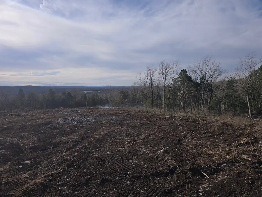 2421 Richland Richardson Rd, Murfreesboro, TN 37130 - Image #3