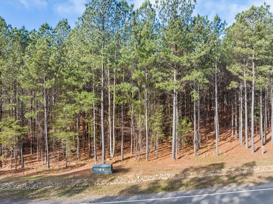 0 Crockett Point, Jasper, TN 37347 - Image #3