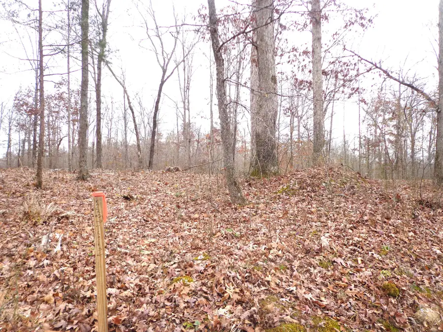 0 Hillcrest Road, Waverly, TN 37185 - Image #2