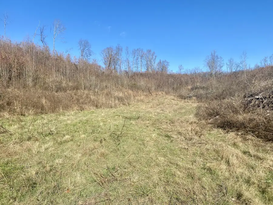 4570 Highway 64 E, Pulaski, TN 38478 - Image #3