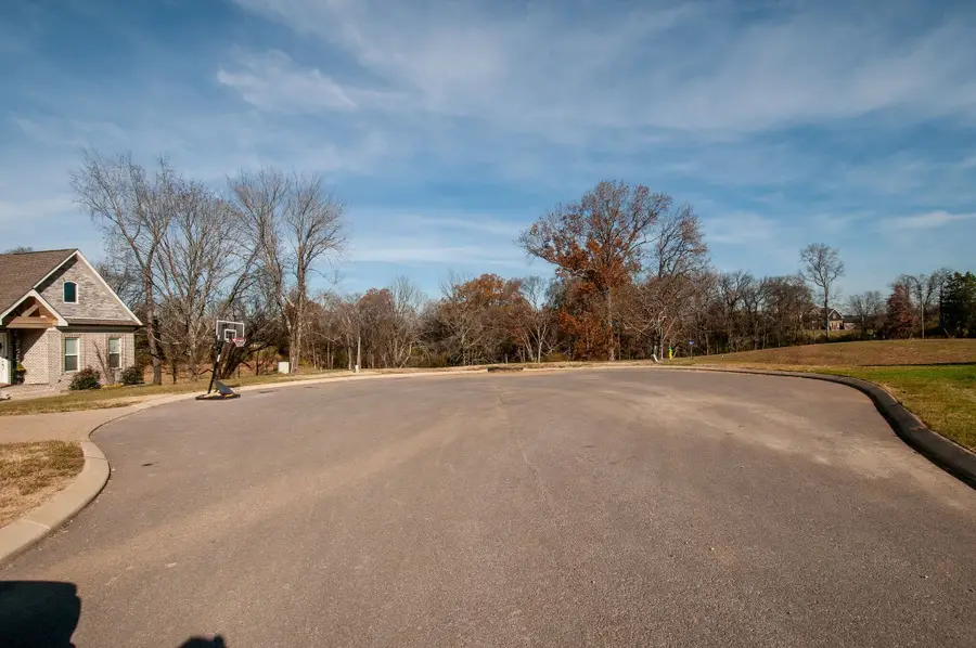 210 Kortney Marie Pl, Mount Juliet, TN 37122 - #2