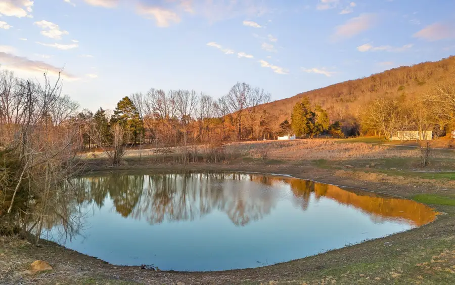 158 County Road 677, Bryant, AL 35958 - Image #3