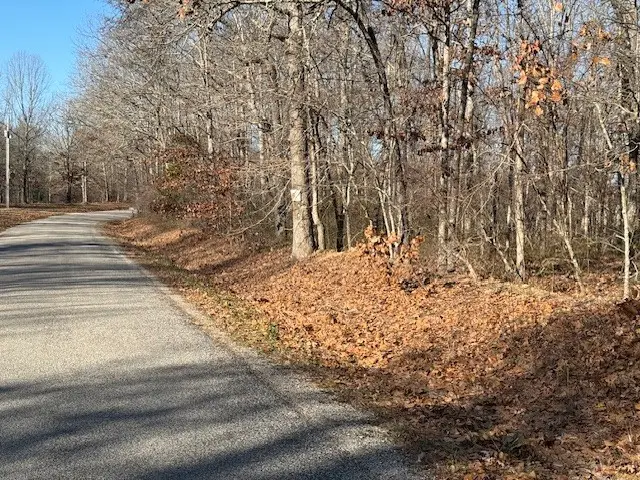 0 Reed Rd, Hohenwald, TN 38462 - Image #2