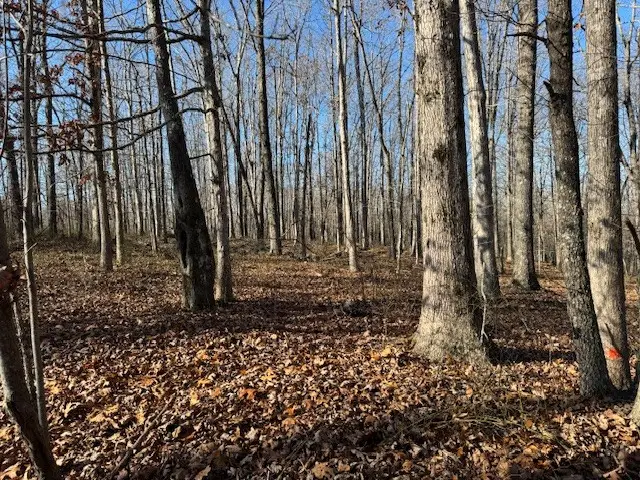 0 Reed Rd, Hohenwald, TN 38462 - Image #3