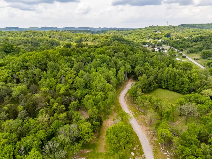 0 Arno Allisona Rd, College Grove, TN 37046 - #3