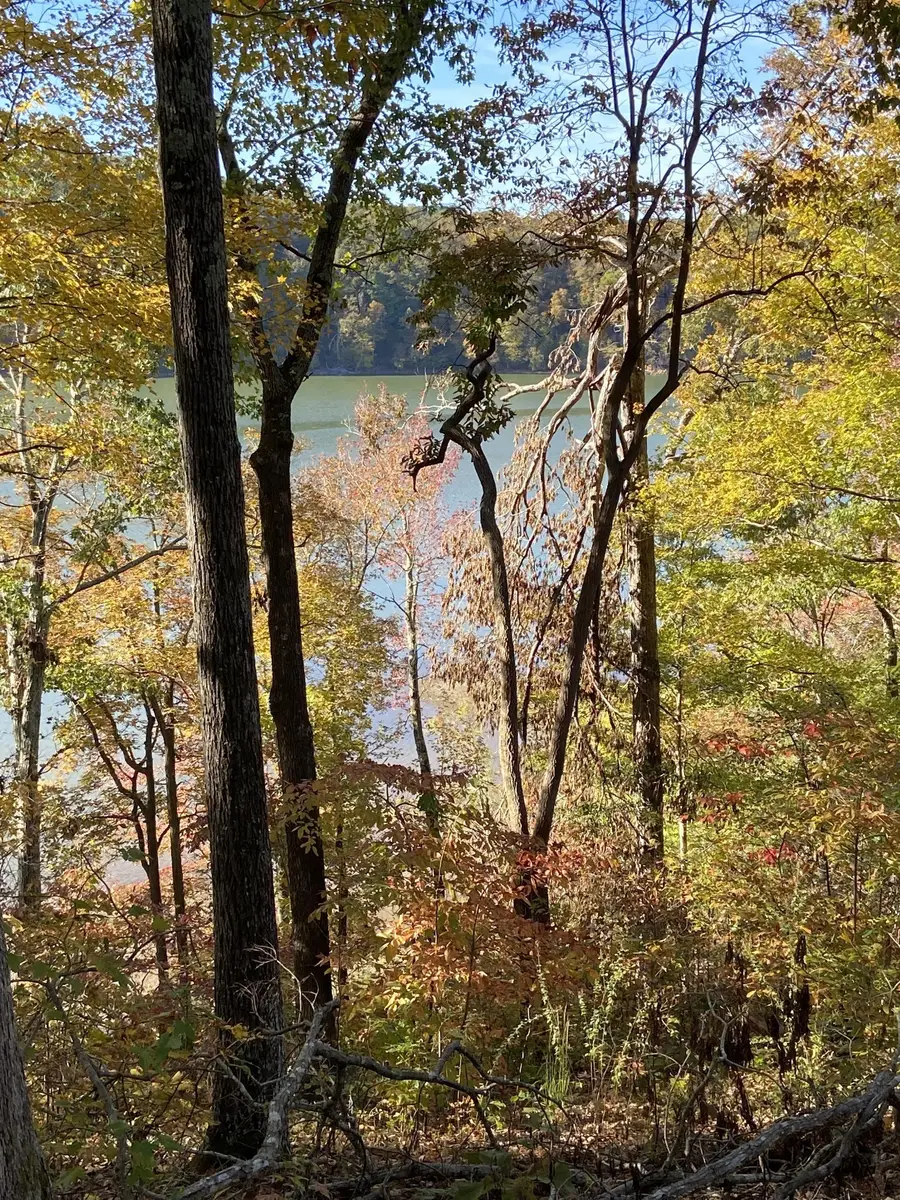 0 Hurricane Creek Road, Stewart, TN 37175 - #2