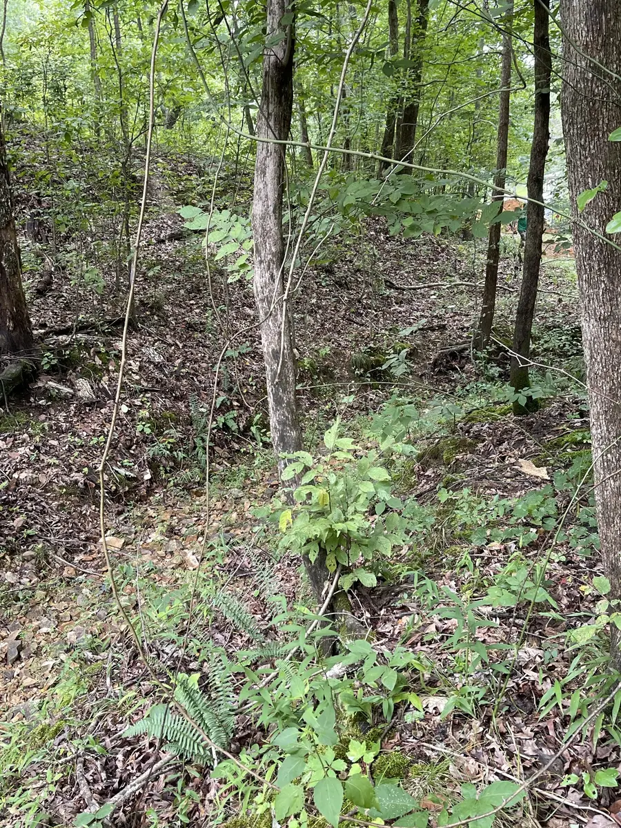 0 Brownfield Rd, Dover, TN 37058 - Image #3