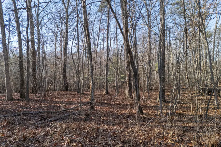 0 Satsuma Dr, Crossville, TN 38555 - Image #2