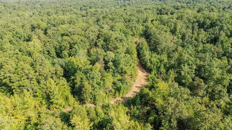 0 Roby Trail, Henderson, TN 38340 - Image #2