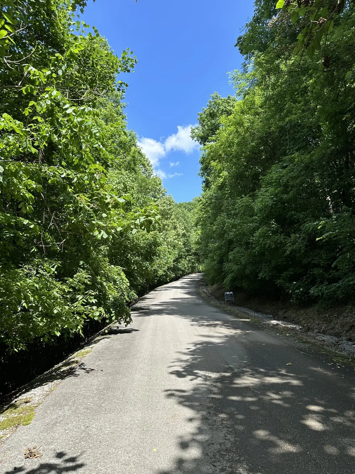 0 Shoreside Dr, Smithville, TN 37166 - #1