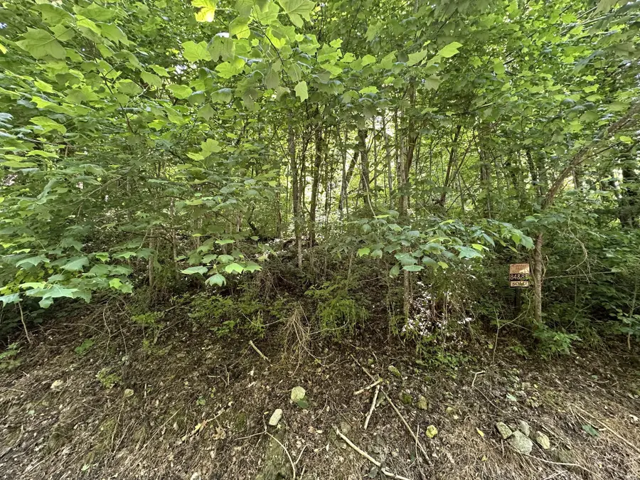 0 Shoreside Dr, Smithville, TN 37166 - #3