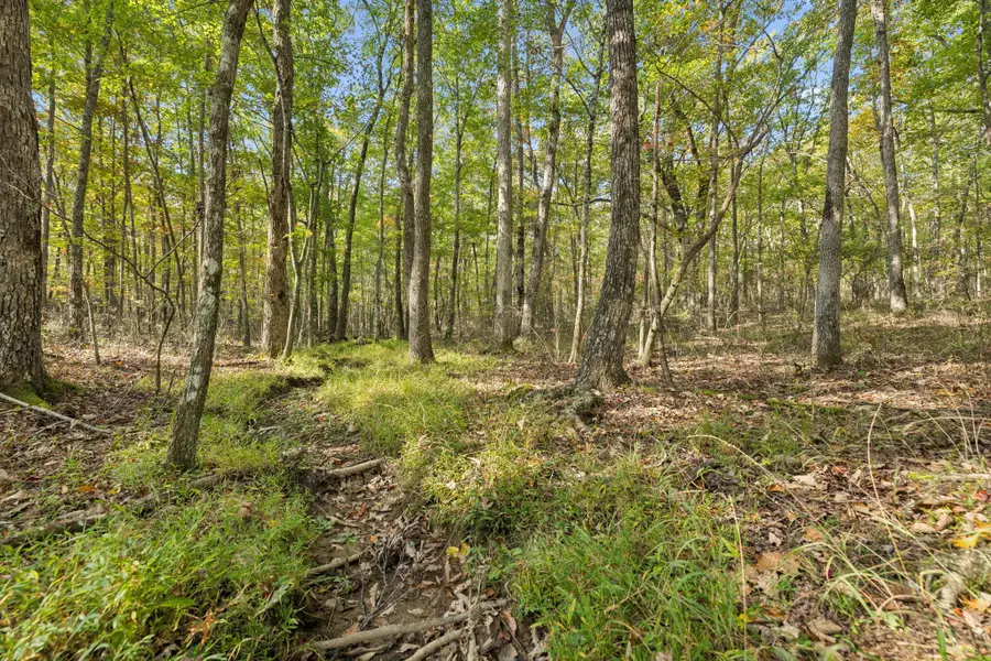 0 Timberwood Trace, Monteagle, TN 37356 - Image #3