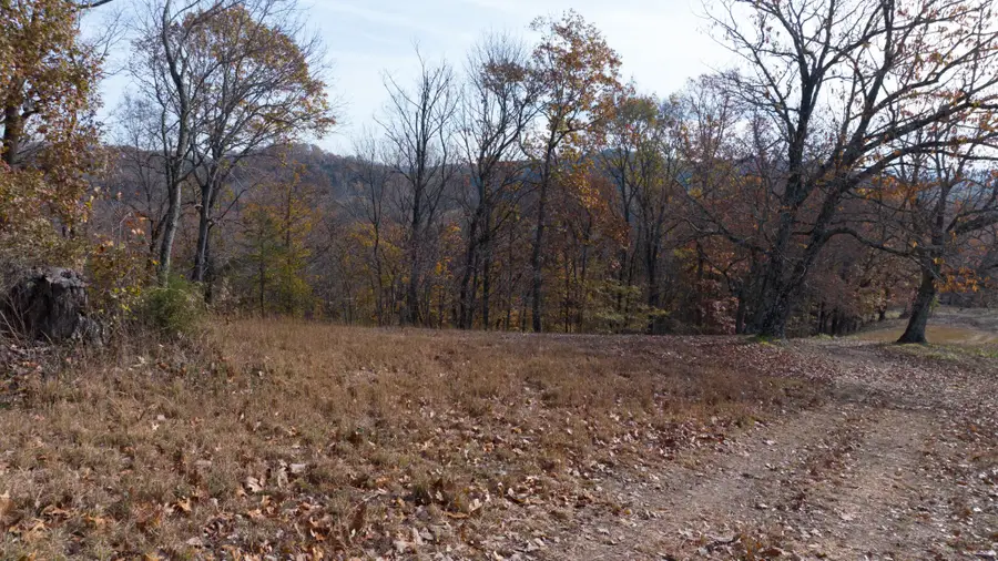 11 Brazier Lane, Gallatin, TN 37066 - #3