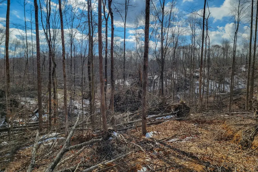 0 Hutchings Bend Rd, Sparta, TN 38583 - #2