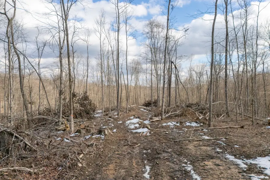 0 Hutchings Bend Rd, Sparta, TN 38583 - #2