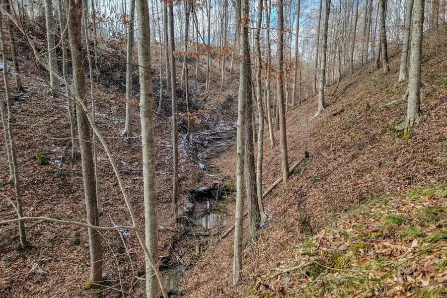 0 Hutchings Bend Rd, Sparta, TN 38583 - #3